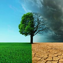 Los cambios climáticos 