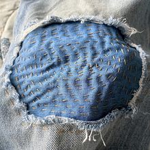 surgem novas espécies.