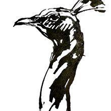 A quick ink sketch of a bird's head using a cola pen