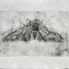 Creating the "Night Moth" engraving using the drypoint technique, using Tetra Pak and Pasta Press.