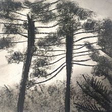 Abbozzo a carboncino