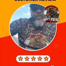 How CartoonLogoX Created a Unique Cartoon Mascot Logo That Clients Love