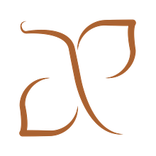 Branding Anielle Pereira