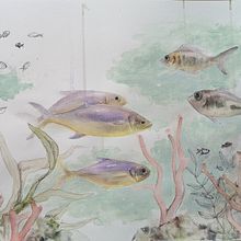 Final project for Marine universe illustration in Watercolor