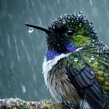 IA Chat GPT generation