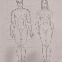 DIBUIX ARTÍSTIC: El cos humà i el cànon