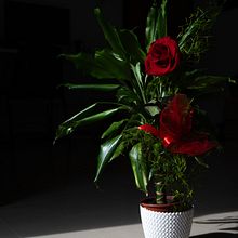 Tierraypanela – La vita tra le ombre