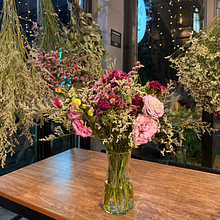 To The Stars Who Listen