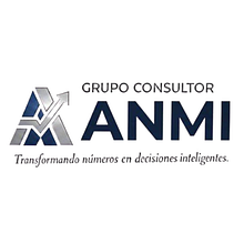 prototipo grupo anmi