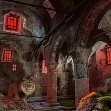 The Lion's Sanctuary