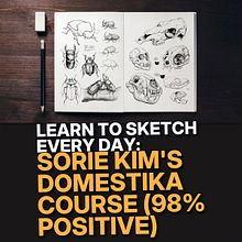 Learn to Sketch Every Day: Sorie Kim's Domestika Course (98% Positive)