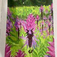 Flores Gouache