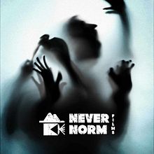 Never Norm logo design
