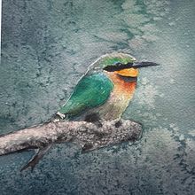 FREE Bee-Eater Project: Create Stunning Salt Effects in Watercolour