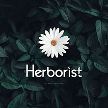 Herborist: The Art of Sacred Skin