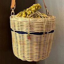 Project in Contemporary Basketry Techniques Applied to Fashion