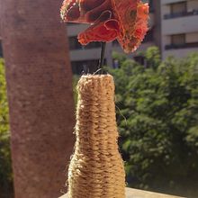 UNA BOTELLA Y UN CLAVEL