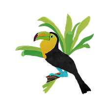 Forêt tropicale