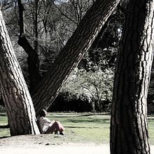 Parques y jardines. Un proyecto de Fotografía de Joaquín Martí - 13.07.2009