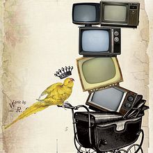 Calicanto. Design, and Traditional illustration project by Roselino López Ruiz - 07.22.2009