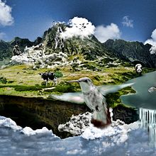 Animal Island. Design project by Alberto Rosa - 07.24.2009