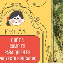 Pecas. Design project by Tea for two Comunicación gráfica - 08.19.2009