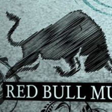 Red Bull Music Academy. Design, Motion Graphics, Advertising, Film, Video, and TV project by Oskar Domínguez - 08.24.2009