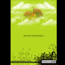 Cartel para dar a conocer el producto. Un proyecto de Publicidad de oscar Vallés Gil - 06.11.2009