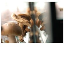 Museo de la Ciencia. Un proyecto de Fotografía de oscar Vallés Gil - 06.11.2009