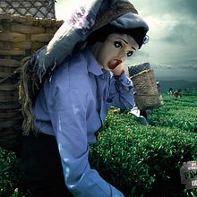 AMAM - Association of Women Against Genital Mutilation. Un proyecto de Fotografía y Publicidad de Albert Fornos - 08.11.2009