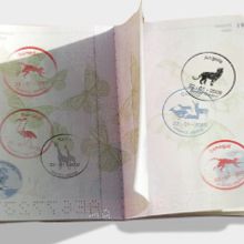  Propuesta Campaña para Bioparc Valencia. Design, Traditional illustration, and Advertising project by Abeautifulliead Creative Team - 11.12.2009