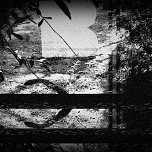 Blanc Festival. Design, Motion Graphics, Film, Video, and TV project by Joel Lozano - 11.17.2009