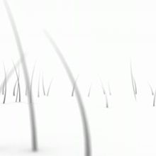 Spot | Pelostop. Motion Graphics, Film, Video, TV, 3D, and Advertising project by Joan Pérez - 01.19.2010