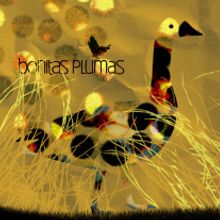 bonitas plumas. Traditional illustration project by Jorgina Miralles Castelló - 02.16.2010
