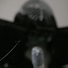 INTACT INSTINCT. Design, Motion Graphics, Film, Video, and TV project by rodrigo carvalho - 03.04.2010