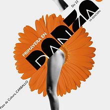Primavera en Danza 09. Design, Traditional illustration, Photograph, and Advertising project by Gende Estudio - 03.08.2010