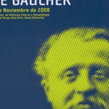 Gaucher. Design, and Advertising project by Estudio Menta - 03.27.2010