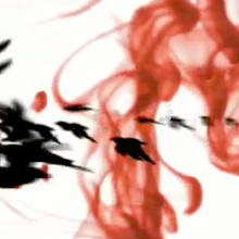 Birds. Un proyecto de Motion Graphics y UX / UI de Geo - 28.03.2010