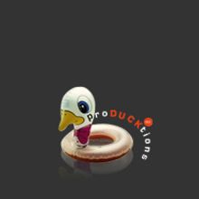 ProDUCKtions. Design, and Programming project by Pormisswebs comunicación online - 05.13.2010