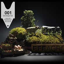 Web EFEAGRO. Design, Traditional illustration, IT, Photograph, and Advertising project by ktalink - 04.05.2010