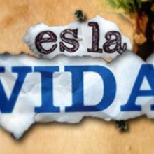 Es la Vida. Design, Motion Graphics, and Traditional illustration project by Federico Figueroa - 04.12.2010