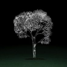 Easymov Reel 2009. Motion Graphics, and Advertising project by Veda Farahani - 04.14.2010