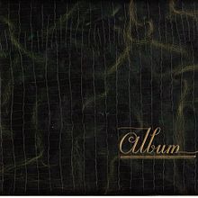 Album. Traditional illustration project by Jennifer Hernández Alonso - 04.21.2010