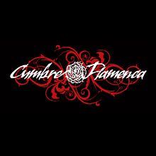 Cumbre Flamenca '09. Design project by Carlos Ruano - 05.23.2010