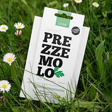 young garden. Un progetto di Design di María Mateu - 08.06.2010