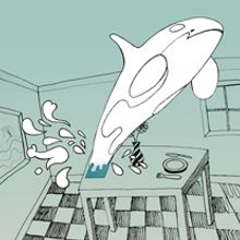 Spontex | Ahora más absorbente. Un progetto di Design, Illustrazione tradizionale e Pubblicità di José León - 12.06.2010