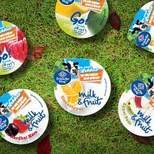 Milk&Fruit. Projekt z dziedziny Design, UX / UI i  Reklama użytkownika Abraham Gonzalez - 26.06.2010