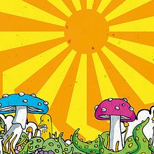 delirios .  proyek oleh Pablo Favre - 07.12.2010