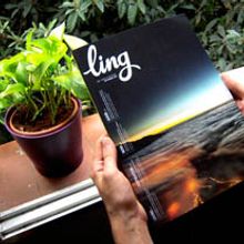 Ling Magazine. Traditional illustration project by amaia arrazola - 09.07.2010
