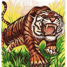 Tigre con rotuladores. Un proyecto de Ilustración tradicional de Tello Hernández Martín - 12.09.2010